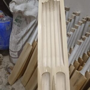 Kashmir Willow Cricket Bat