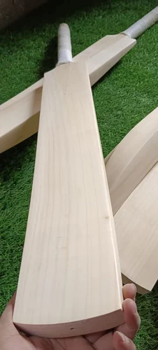 Leather Ball Cricket Bat